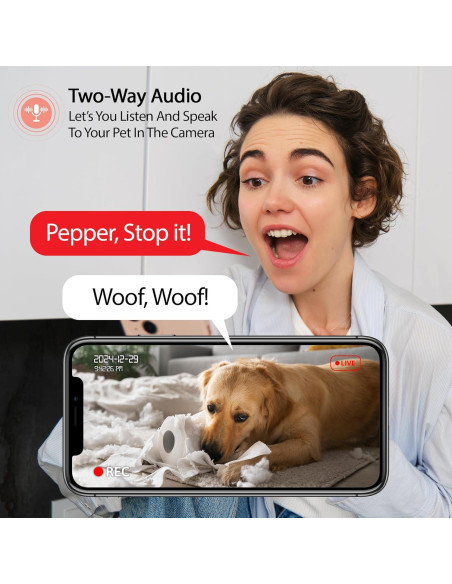 Comedero Inteligente Energizer 4L con Cámara 2K y Wi-Fi