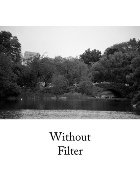 Filtro de rosca Hoya HMC 77mm Amarillo para fotografía Filtro de rosca Hoya HMC 77mm Amarillo para fotografía