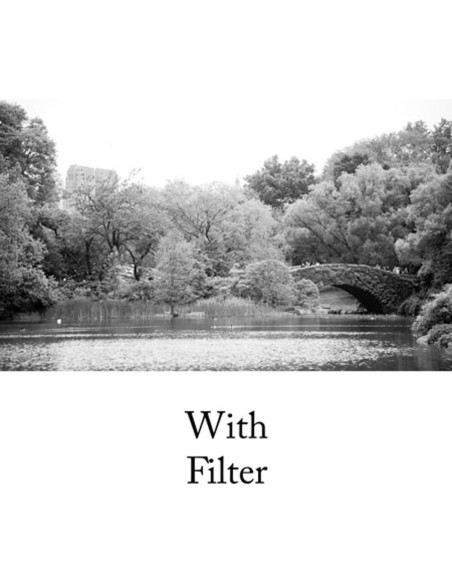 Filtro de rosca Hoya HMC 77mm Amarillo para fotografía Filtro de rosca Hoya HMC 77mm Amarillo para fotografía