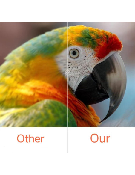 Lámpara de Reemplazo CJD V13H010L97 para Proyector EPSON