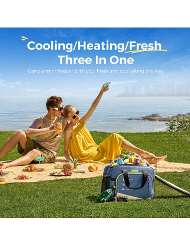 Bolsa Enfriadora Calentadora 26Qt Outohome 12V Portátil