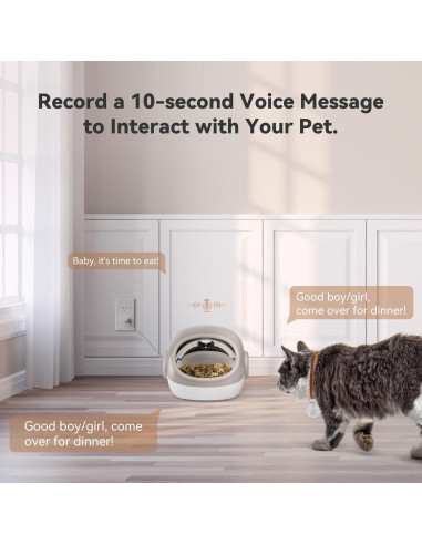 Comedero Automático para Gatos Petnovate RFID - 4 Modos, 2 Collares