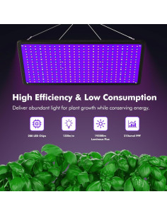 Luz de Cultivo LED 100W LUYIMIN Espectro Completo para Plantas 2