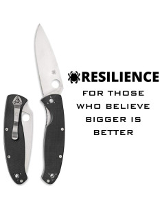 Cuchillo Plegable Spyderco Resilience 10.8 cm Acero Inoxidable 2