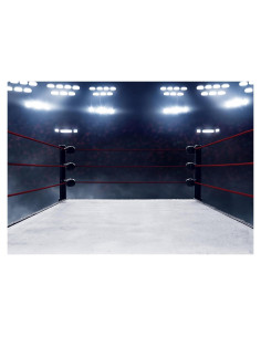 Fondo de Fotografía Boxeo 3x2m Vinilo Personalizado Azul Gris