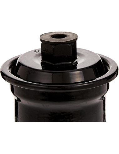 Filtro de Combustible ECOGARD XF55114 para Toyota y Mitsubishi