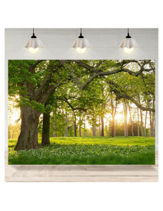Fondo Fotográfico Vinilo 2.13x1.52m TOENGS Bosque Primavera