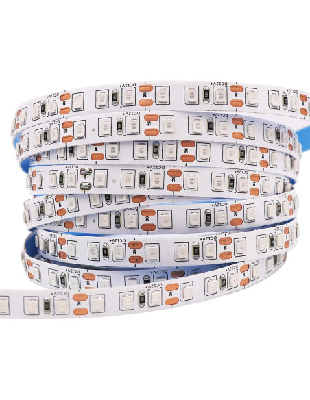 Tira LED 12V 5M Azul QX SMD2835 600 LEDs Alta Brillo Tira LED 12V 5M Azul QX SMD2835 600 LEDs Alta Brillo