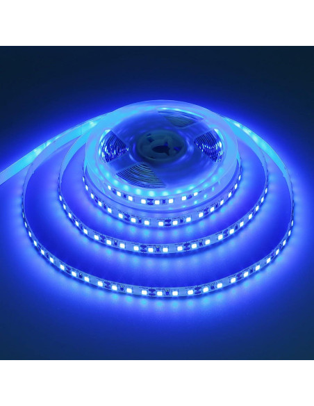 Tira LED 12V 5M Azul QX SMD2835 600 LEDs Alta Brillo Tira LED 12V 5M Azul QX SMD2835 600 LEDs Alta Brillo