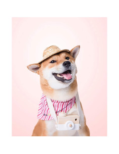 Fondo de Retrato Rosa Claro Kate 2.2m x 1.5m Microfibra 2