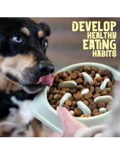 Cuenco de Alimentación Lenta Purrfects Verde Menta 20.3 cm 2