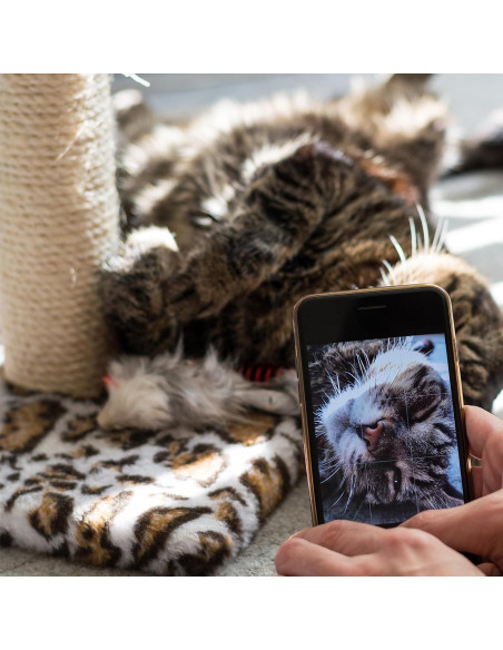 Cuerda de sisal natural PELZIN 0.64 cm x 15.24 m para gatos