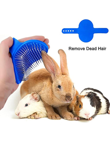 Kit de Aseo para Conejos Patelai - 4 Piezas Azul