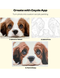 Kit de Pintura por Números Caydo P-011W para Adultos - 3 Lienzos A4 y 60 Colores 2