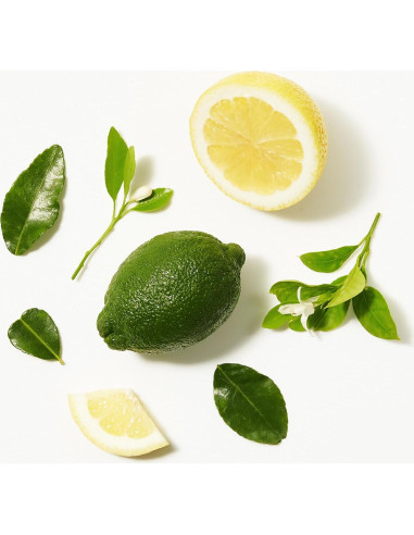 Champú Seco Refrescante Not Your Mother's - 340 g (2 Pzs) - Aroma Cítricos