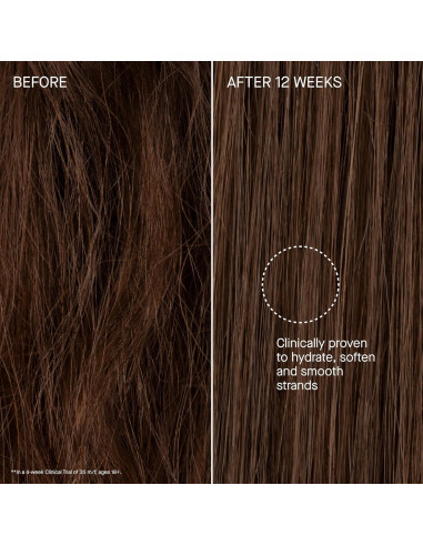 Champú y Acondicionador Rico Augustinus Bader 250ml