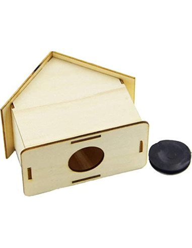 Alcancía de Madera DIY Alfyng 6 Pcs para Pintar y Decorar