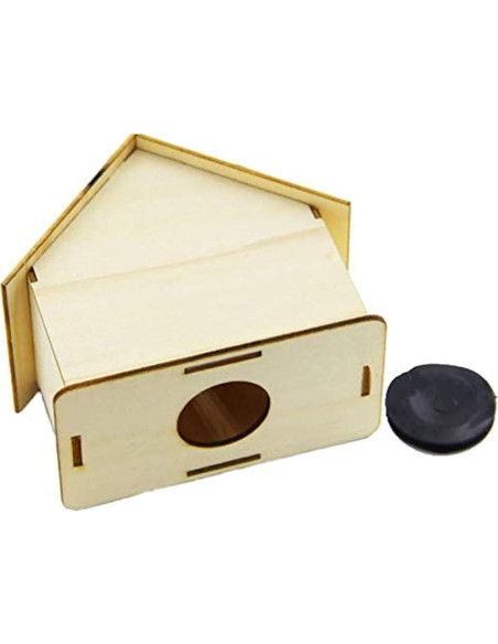 Alcancía de Madera DIY Alfyng 6 Pcs para Pintar y Decorar