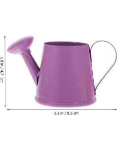 Mini Regadera de Hierro SUPVOX para Niños 8.5x4.7cm 2