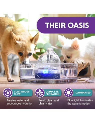 Fuente de Agua para Mascotas Brook - 2.7L - Vidrio Higiénico