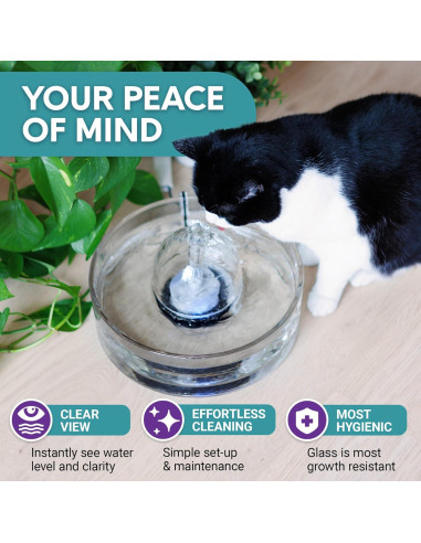 Fuente de Agua para Mascotas Brook - 2.7L - Vidrio Higiénico