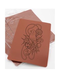 Piel de Práctica Doble Cara 5 Piezas 20.32x30.48 cm Silicona 2