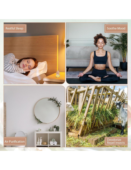 50 Botellas Difusoras de Coche Demissle Vidrio Transparente