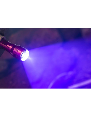 Linterna Frontal LED Blanca y Luz Negra SE ES-UV395-2