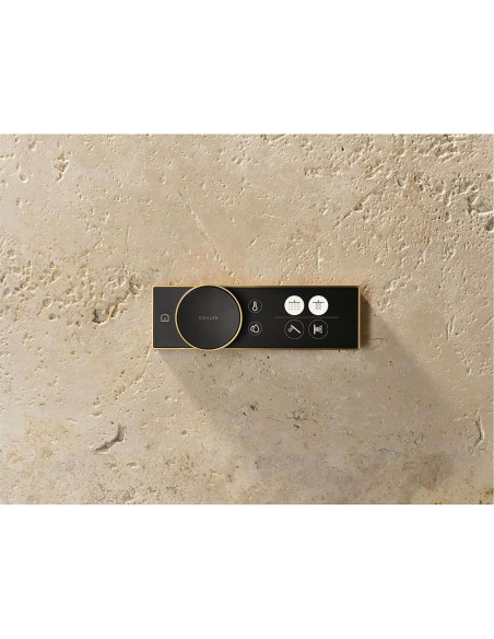 Control Digital de Ducha KOHLER Anthem 28214-SN Níquel Pulido