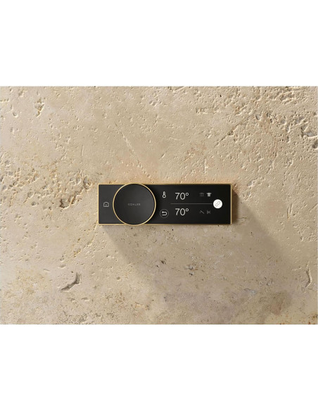 Control Digital de Ducha KOHLER Anthem 28214-SN Níquel Pulido