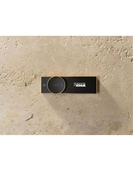 Control Digital de Ducha KOHLER Anthem 28214-SN Níquel Pulido