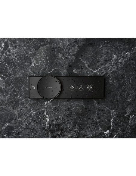 Control Digital de Ducha KOHLER Anthem 28214-SN Níquel Pulido