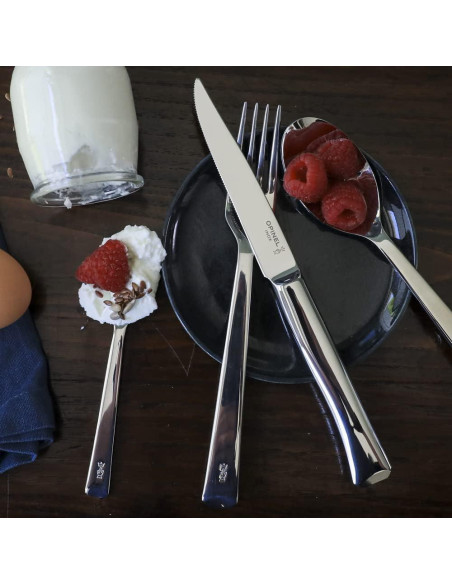 Juego de 4 Cubiertos Opinel Perpétue Acero Inoxidable Apto Lavavajillas
