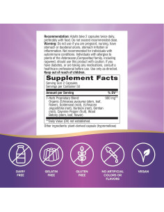 Echinacea Goldenseal Nature's Way 900 mg 100 cápsulas veganas 2