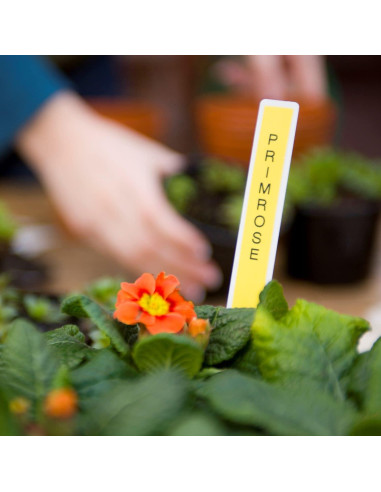 Etiquetadora portátil Brother P-Touch PTH110BP con 4 cintas