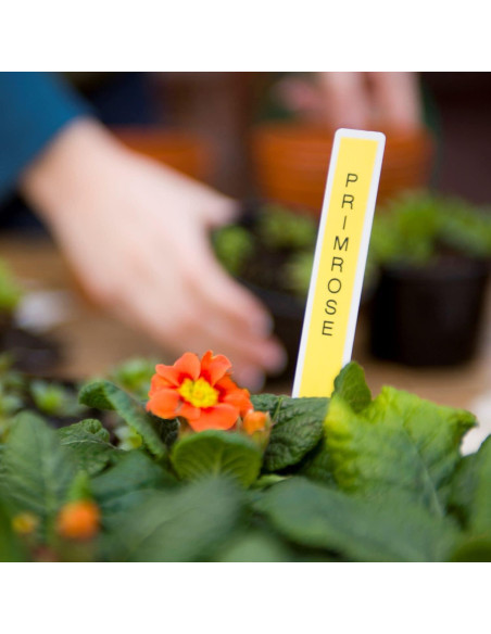 Etiquetadora portátil Brother P-Touch PTH110BP con 4 cintas