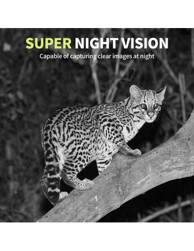 Cámara de Sendero WOSODA 24MP HD con Visión Nocturna