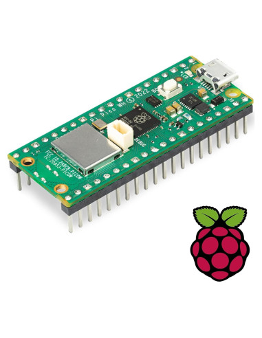 Raspberry Pi Pico WH Vis Viva Inalámbrico 802.11b + Pegatina 4u
