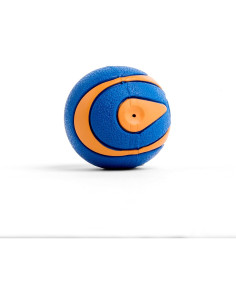Pelota Chuckit! Ultra Squeaker para Perros Mediana - 1 Unidad 2