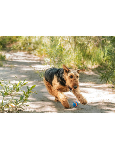 Pelota Chuckit! Ultra Squeaker para Perros Mediana - 1 Unidad