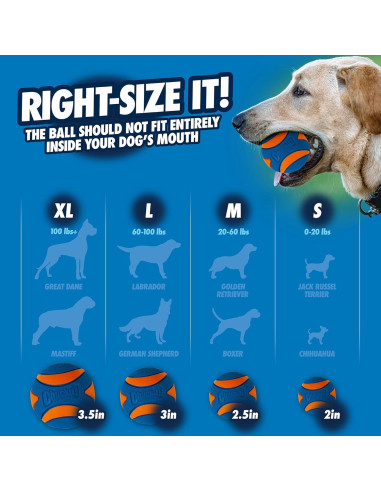 Pelota Chuckit! Ultra Squeaker para Perros Mediana - 1 Unidad