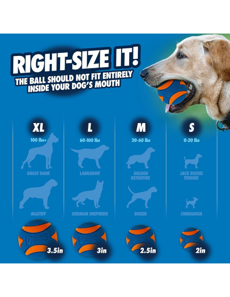 Pelota Chuckit! Ultra Squeaker para Perros Mediana - 1 Unidad