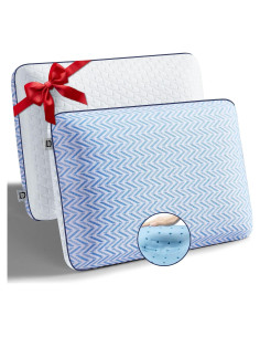 Juego de 2 almohadas ortopédicas Sofslee de espuma viscoelástica