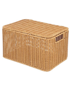 Cesta de Almacenamiento Rectangular Alipis 32x23x20cm con Tapa