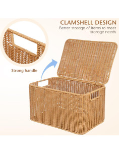 Cesta de Almacenamiento Rectangular Alipis 32x23x20cm con Tapa 2