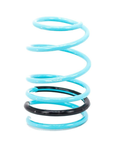 Resortes Godspeed LS-TS-TA-0004 para Toyota Corolla 2009-2013