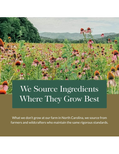 Suplemento Natural para el Sueño Gaia Herbs 60 Cápsulas Veganas