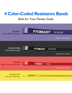 Set de Bandas de Resistencia FitBeast 6 Niveles 2.27-36.29 kg 2