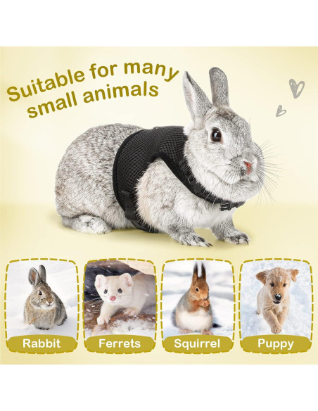 Arnés Ajustable para Conejo PETTOM con Correa Elástica Negro XS