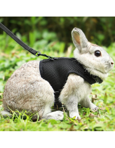 Arnés Ajustable para Conejo PETTOM con Correa Elástica Negro XS